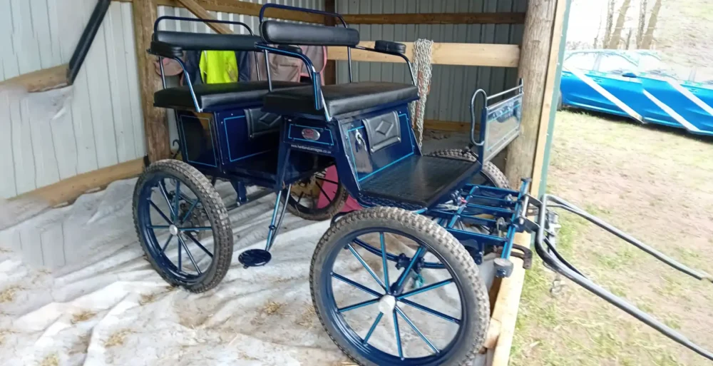 A four-wheel Hartland carriage picnic cart was stolen from the yard in East Stour. Picture: Dorset Police