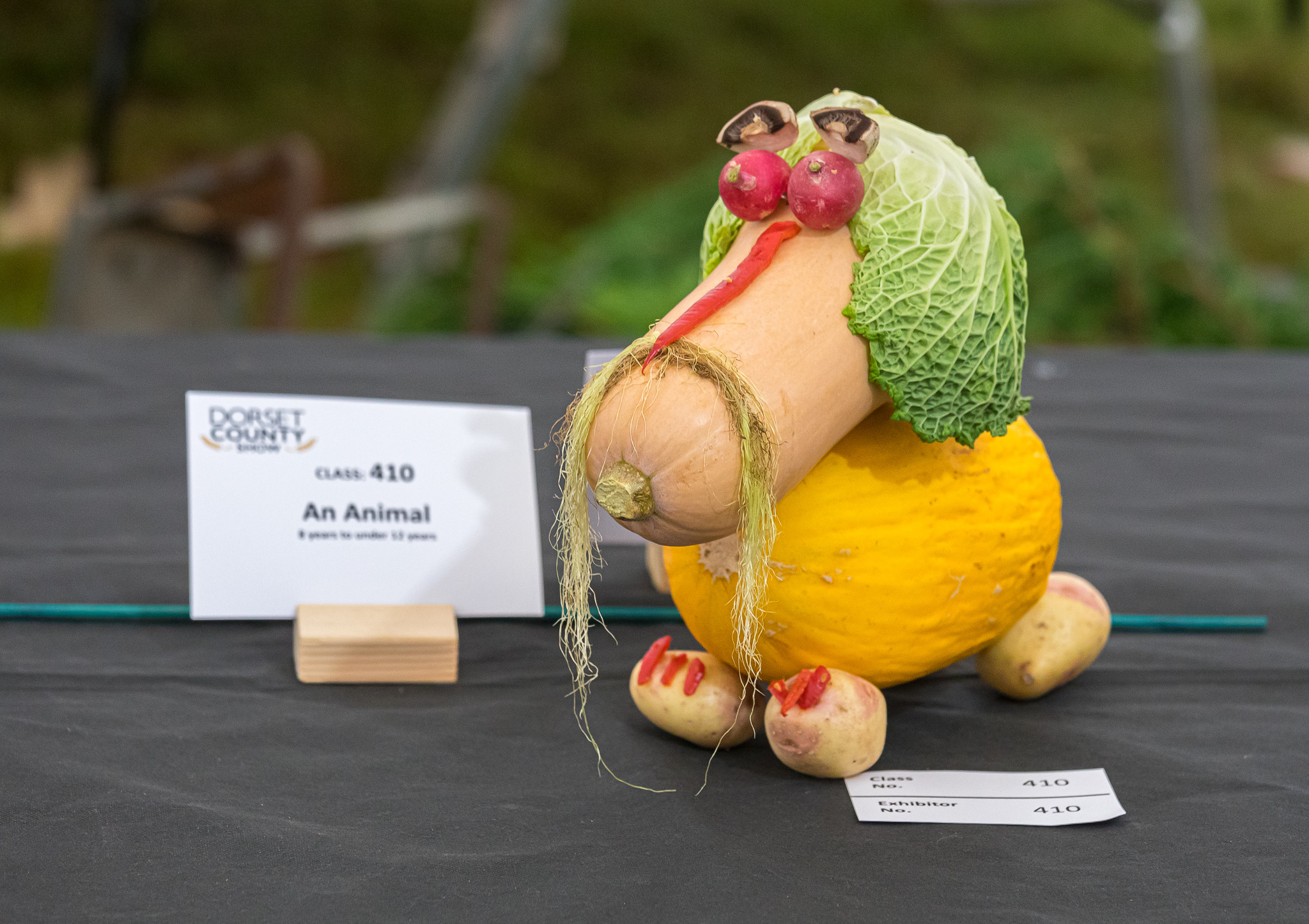 Picture: Dorset County Show