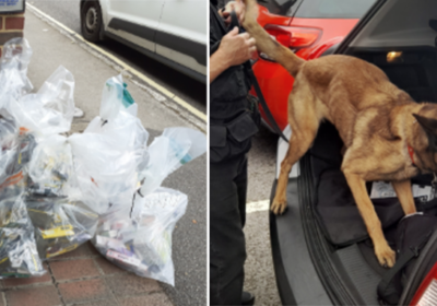 A specialist tobacco detection dog was used in the operation Picture: Dorset Council