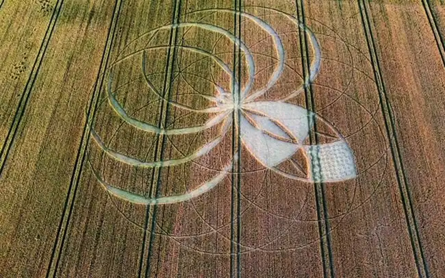 The crop circle was discovered in a field in the Cerne Abbas area. Picture: Dorset Police