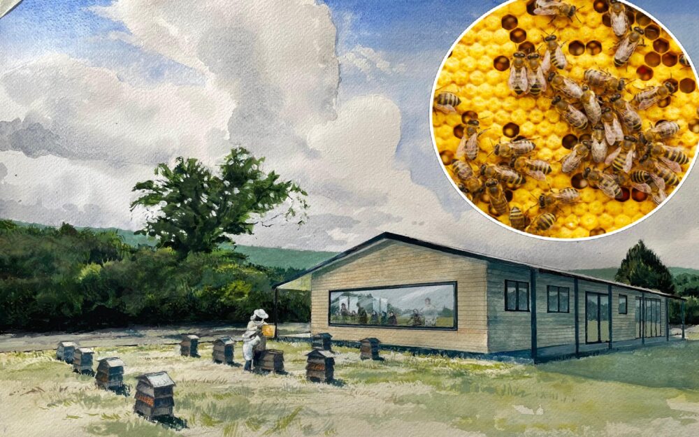 The new centre is set to open in Autumn Picture: Dorset Council