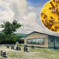 The new centre is set to open in Autumn Picture: Dorset Council
