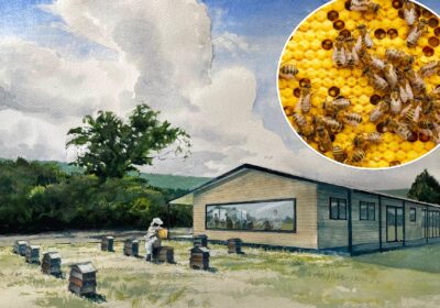 The new centre is set to open in Autumn Picture: Dorset Council