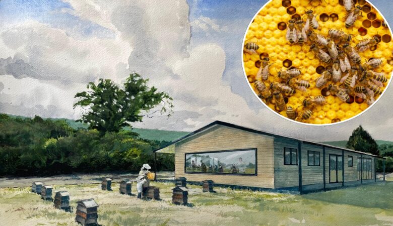 The new centre is set to open in Autumn Picture: Dorset Council