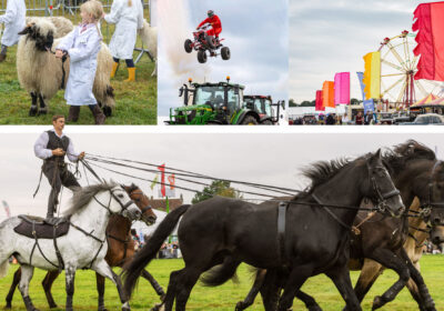 Stunt riders, action horses, livestock and live music awaits attendees Pictures: Dorset County Show