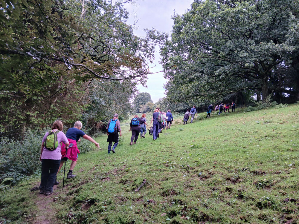 Gillingham Walking Festival