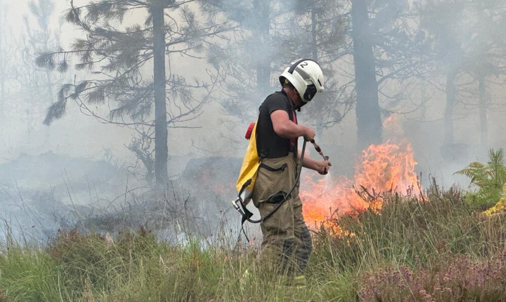 Crews have attended a record number of incidents this year already Picture: DWFRS