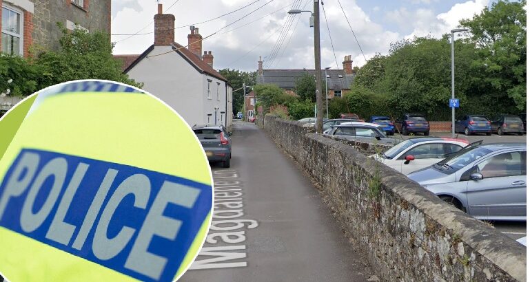 No arrests were made Picture: Google