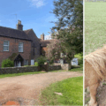 To ensure there is no disruption, the hub will move its alternative provision temporarily to Dewlish before the September deadline Pictures: The Luccombe Hub