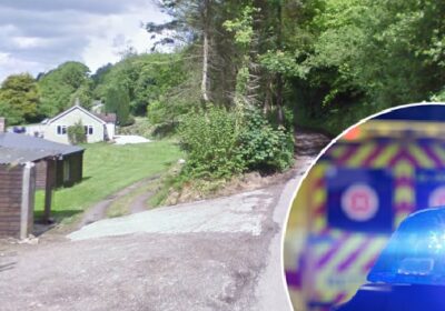 Police want to speak to a delivery driver who they believe was first on the scene Picture: Google
