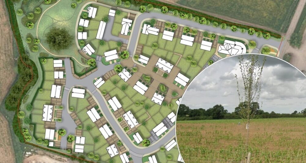 The site masterplan Pictures: Google/Davies Landscape Architects