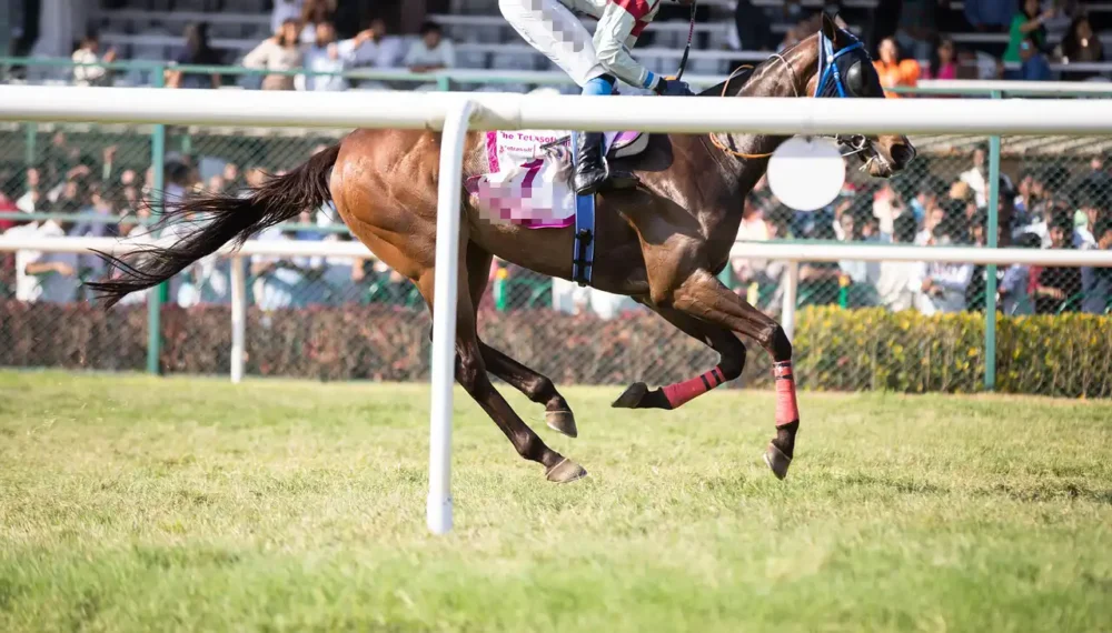 FILE PICTURE. Bill Turner was a trainer based near Sherborne. Picture: Pixabay