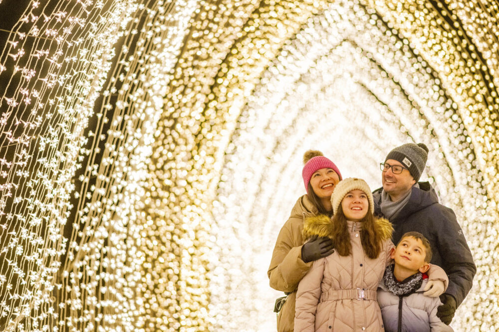 Families may even be able to spot Father Christmas along the route Picture: Phil Wilkinson