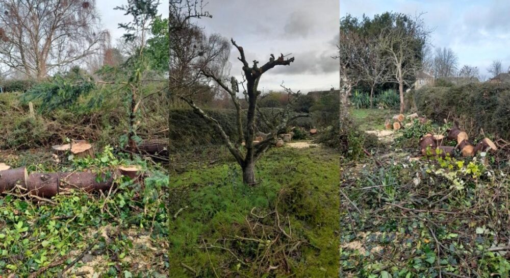 The state the garden was left in after the rogue traders "work" Picture: Dorset Council