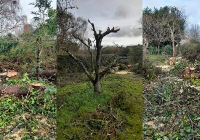 The state the garden was left in after the rogue traders "work" Picture: Dorset Council