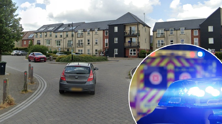 43-year-old Sebastian Stefan Allard of Reynolds Rise was arrested Picture: Google