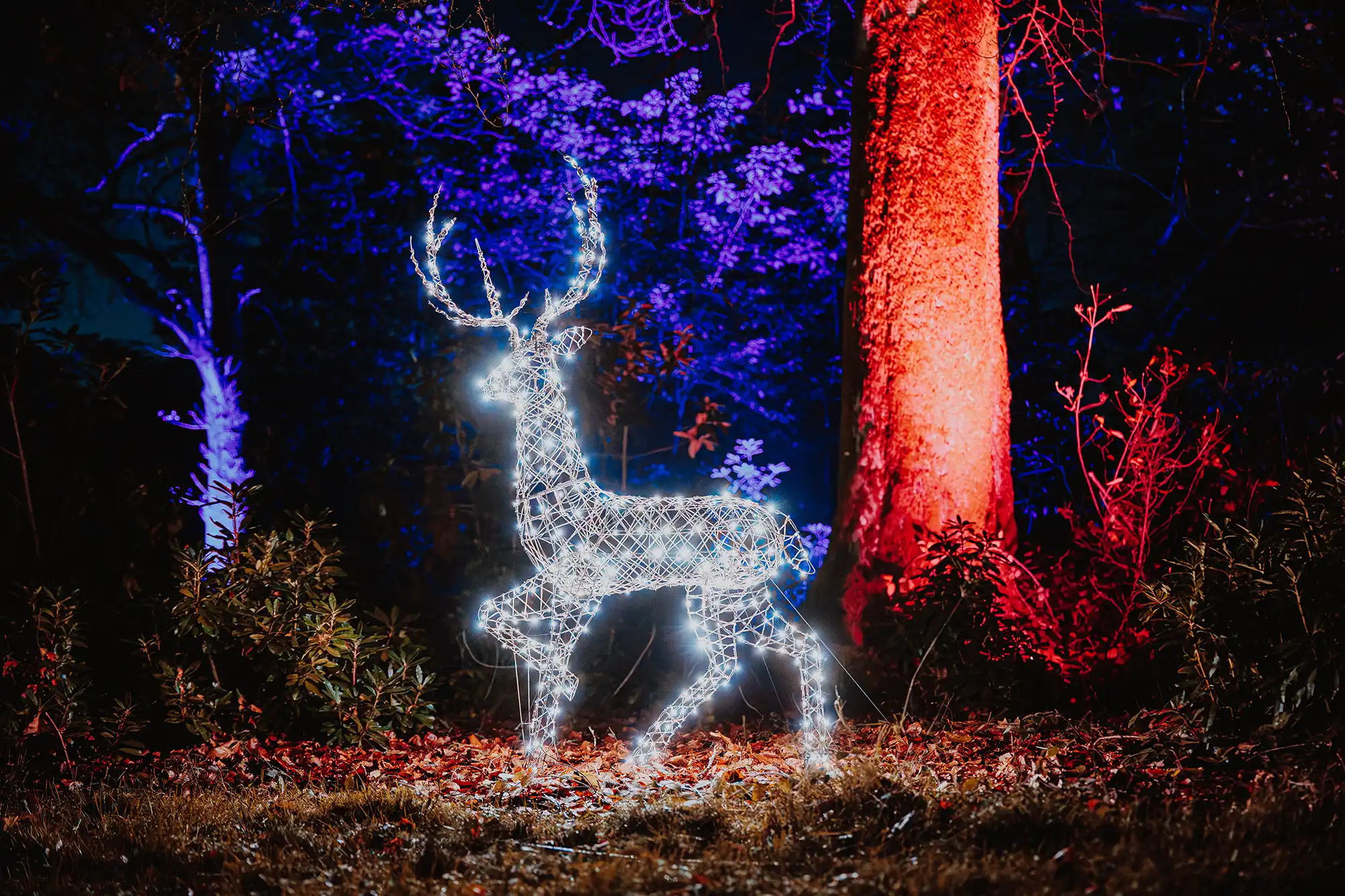 Christmas at Stourhead. Pictures: Luke Dyson/National Trust