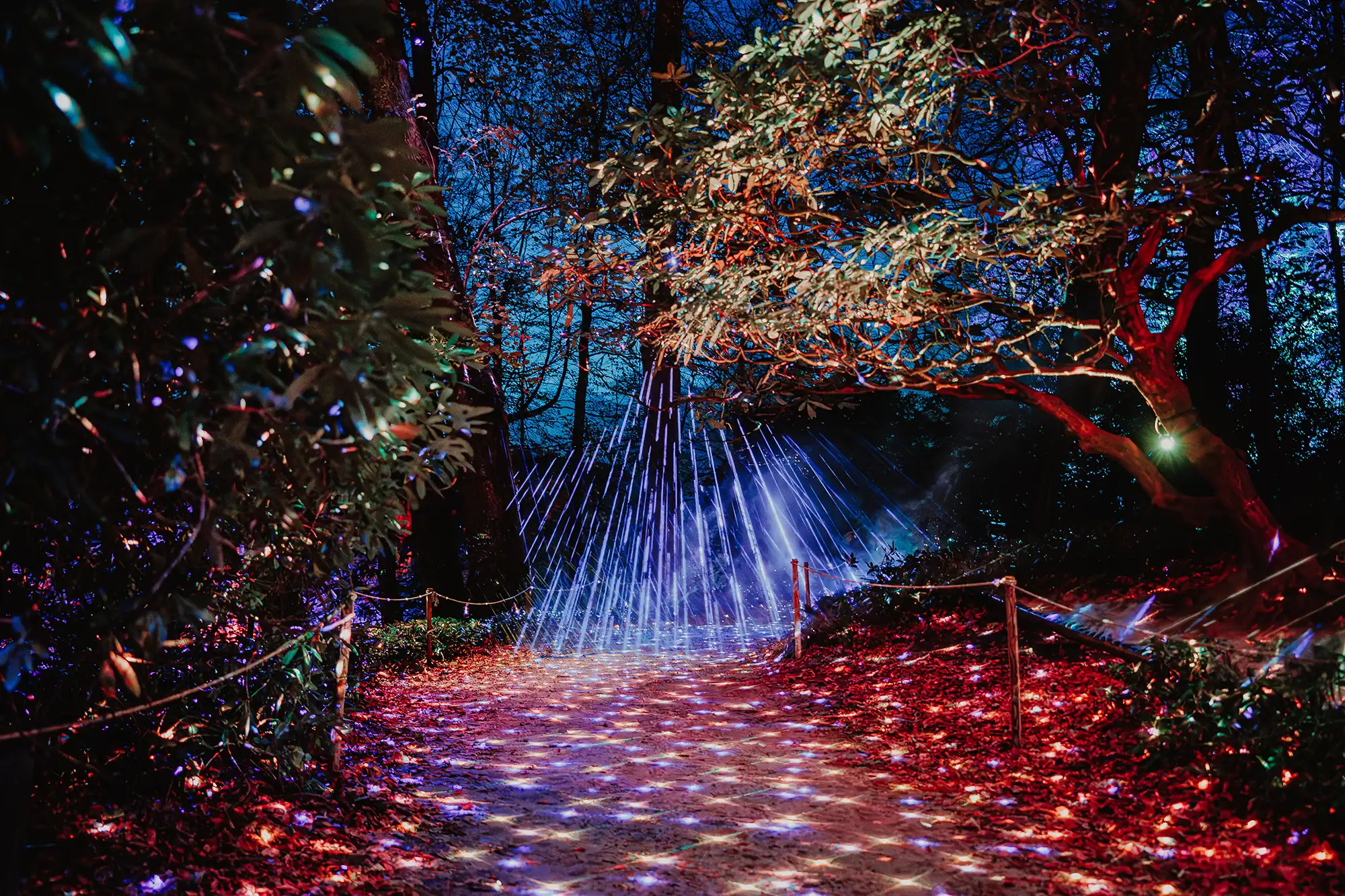 Christmas at Stourhead. Pictures: Luke Dyson/National Trust