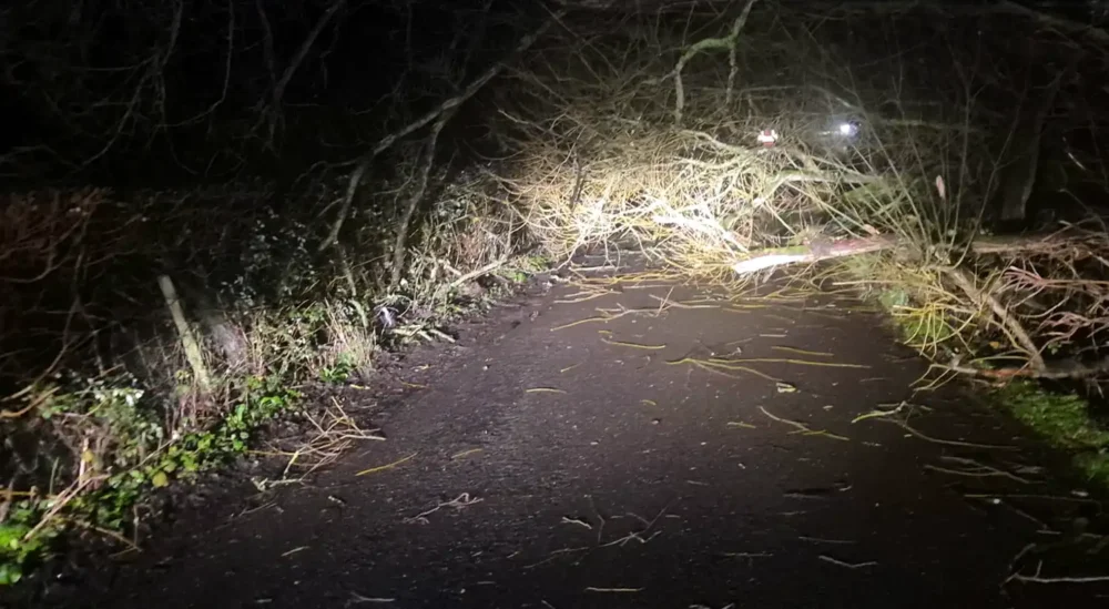 A tree fall has closed Sherborne Recycling Centre today. Picture: Dorset Council