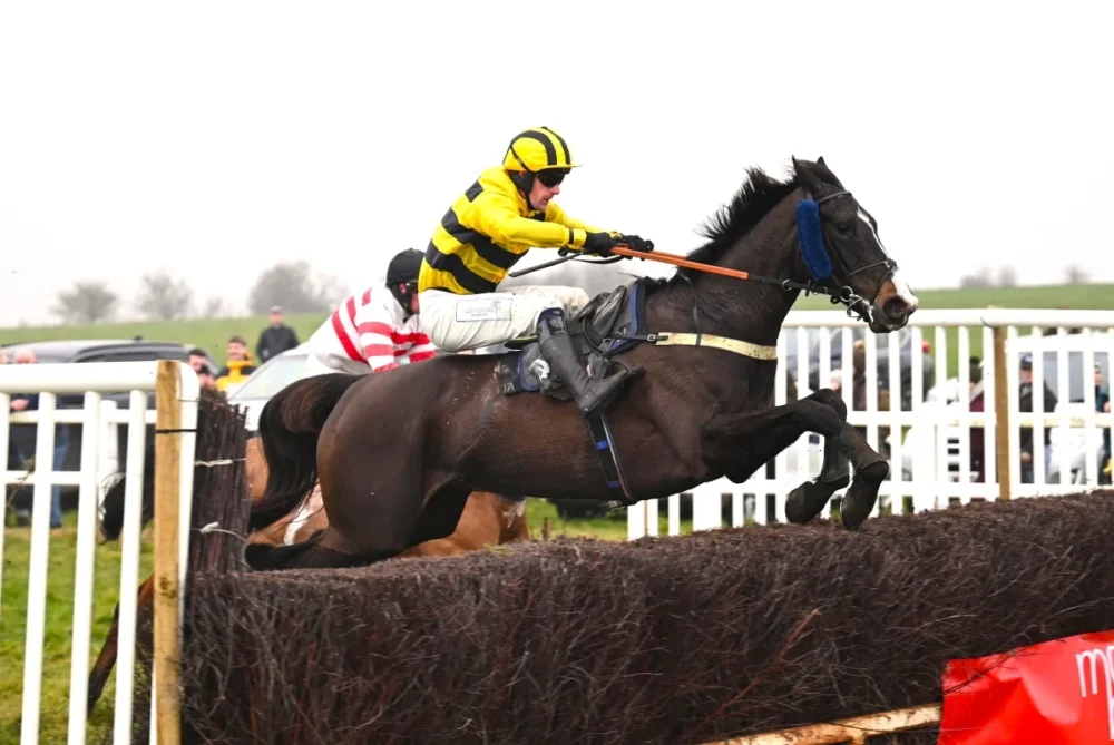 Royal Artillery Horse Racing