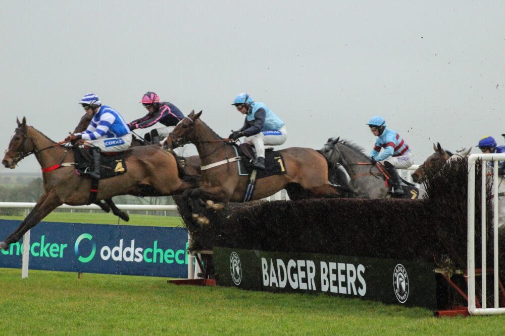 Wincanton Races -Finley Wilkinson