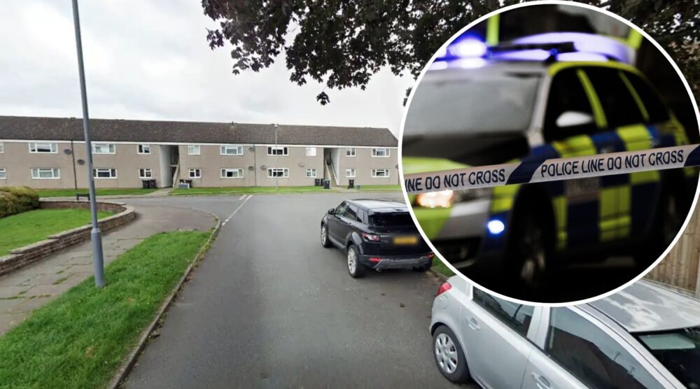 The suspected arson attack occurred in South Avenue, Sherborne, police said. Picture: Google