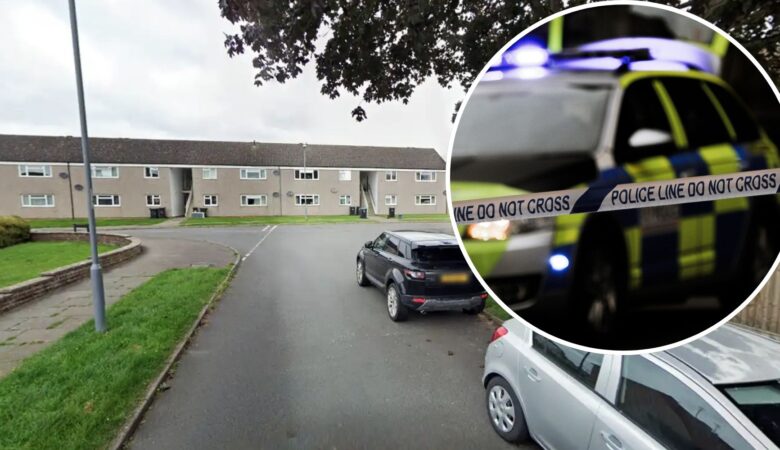 The suspected arson attack occurred in South Avenue, Sherborne, police said. Picture: Google