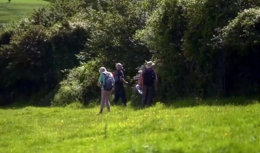 People can help document Dorset's hedgerows. Picture: Dorset CAN
