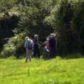People can help document Dorset's hedgerows. Picture: Dorset CAN