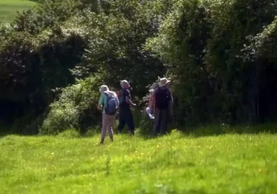 People can help document Dorset's hedgerows. Picture: Dorset CAN
