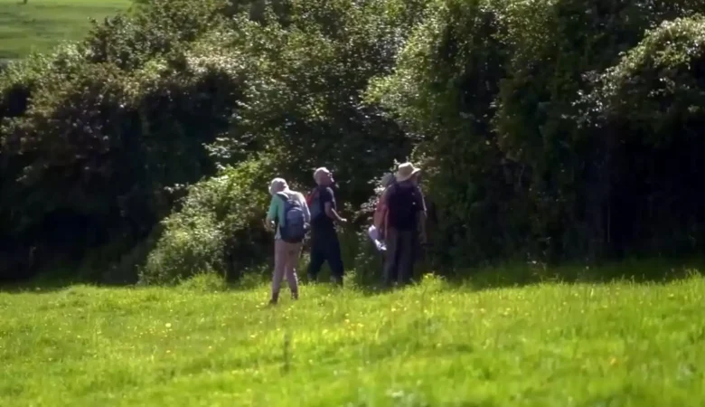 People can help document Dorset's hedgerows. Picture: Dorset CAN