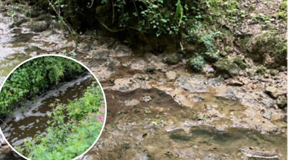 Pollution traced to Marsh Farm in October 2023 and inset, pollution from Drummers farm. Pictures: EA