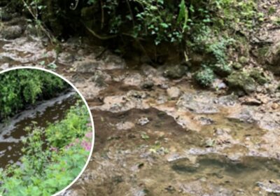 Pollution traced to Marsh Farm in October 2023 and inset, pollution from Drummers farm. Pictures: EA