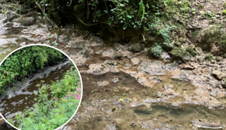 Pollution traced to Marsh Farm in October 2023 and inset, pollution from Drummers farm. Pictures: EA