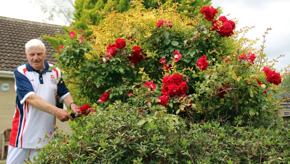 Mere bowls player Les Mainwaring has been chosen to represent his country by Bowls England - after cutting his roses!