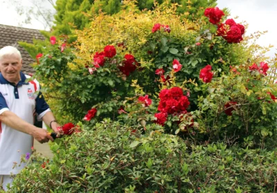 Mere bowls player Les Mainwaring has been chosen to represent his country by Bowls England - after cutting his roses!