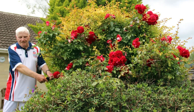 Mere bowls player Les Mainwaring has been chosen to represent his country by Bowls England - after cutting his roses!