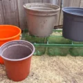 Plastic plant pots can now be recycled in Somerset - but not black ones... Picture: Somerset Council
