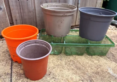 Plastic plant pots can now be recycled in Somerset - but not black ones... Picture: Somerset Council