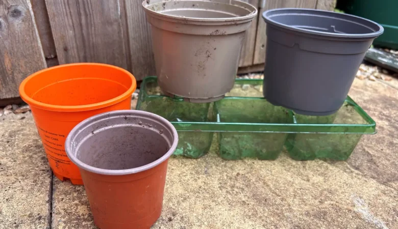 Plastic plant pots can now be recycled in Somerset - but not black ones... Picture: Somerset Council