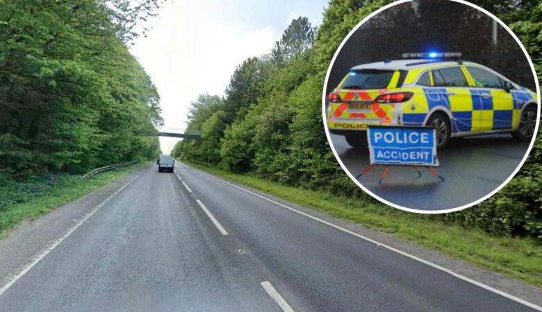 The incident happened on the A35 Dorchester bypass on Friday (August 7). Picture: Google