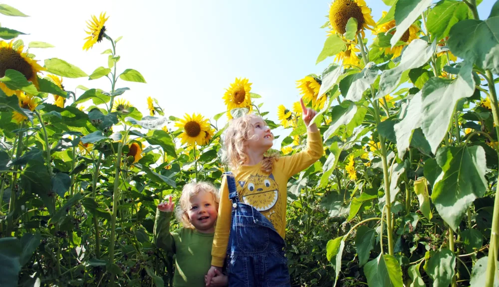 People are being urged to take care in soaring temperatures in Somerset this week. Picture: Paul Jones/Leveller