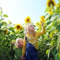 People are being urged to take care in soaring temperatures in Somerset this week. Picture: Paul Jones/Leveller
