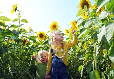 People are being urged to take care in soaring temperatures in Somerset this week. Picture: Paul Jones/Leveller