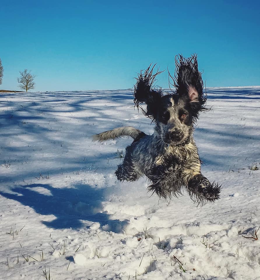 Highly Commended. Photo: Annette Acreman