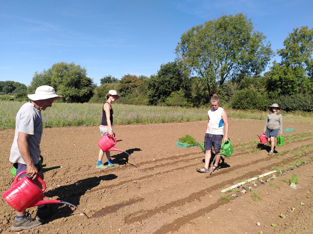 A family affair – the Crosses watering lines before planting