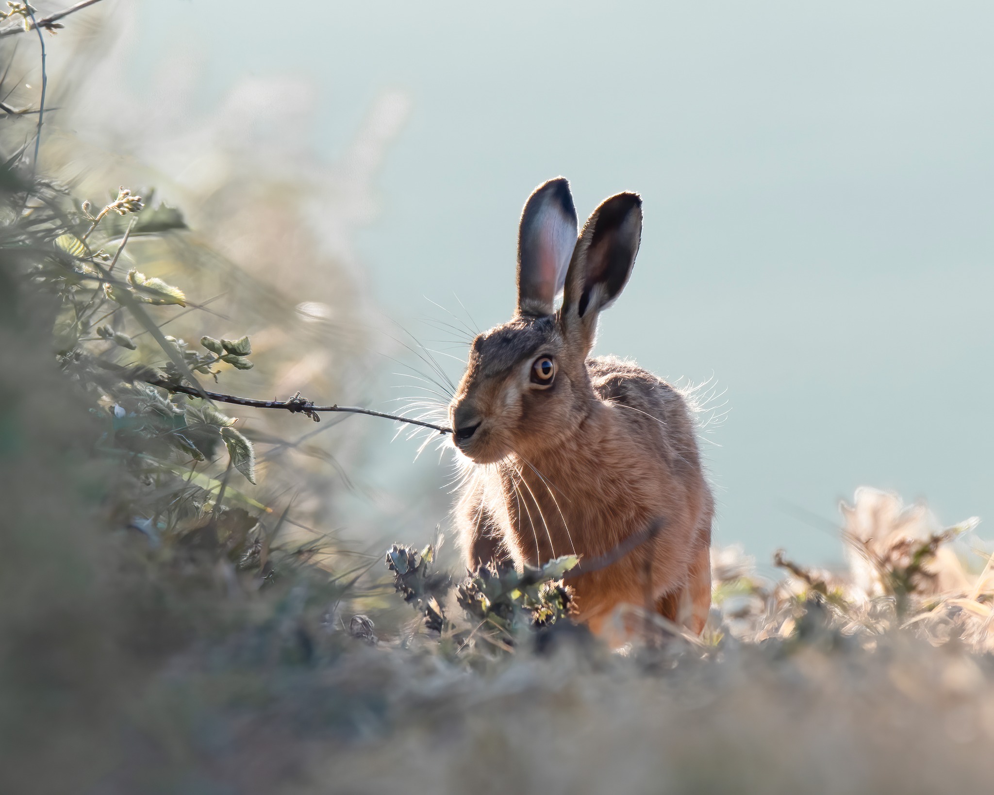 Photo: Graham P Bannister