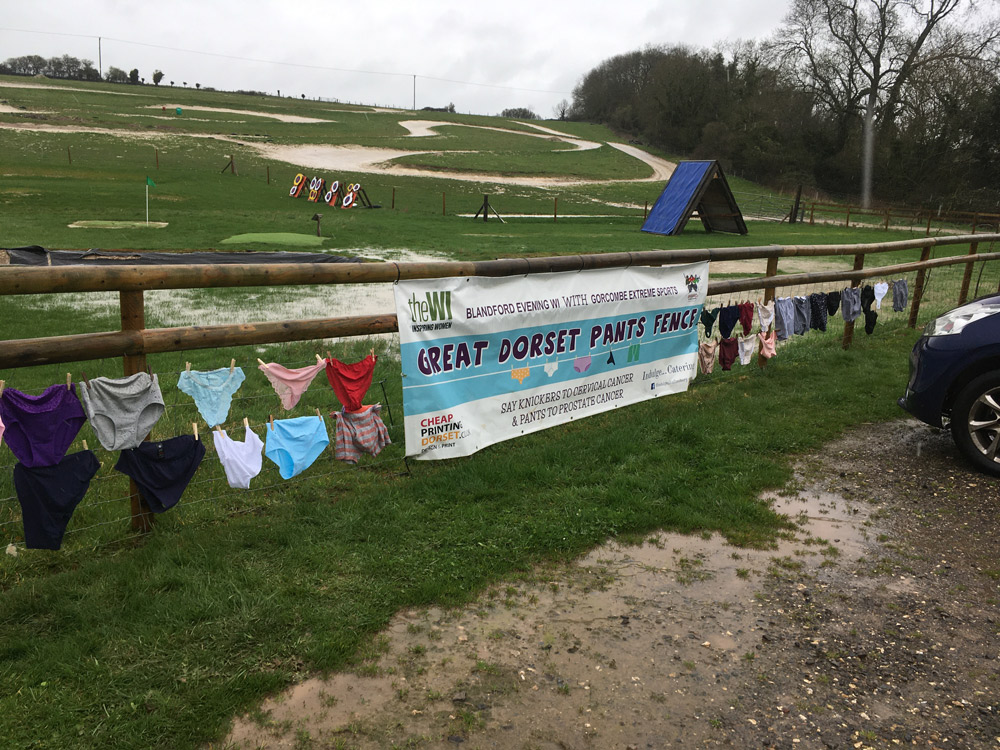 Great Dorset Pants Fence