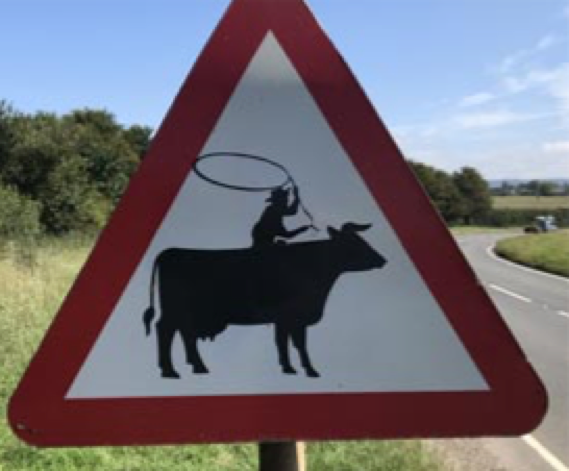 Cowboy and lasso added to the cattle sign on the A30 outside East Stour