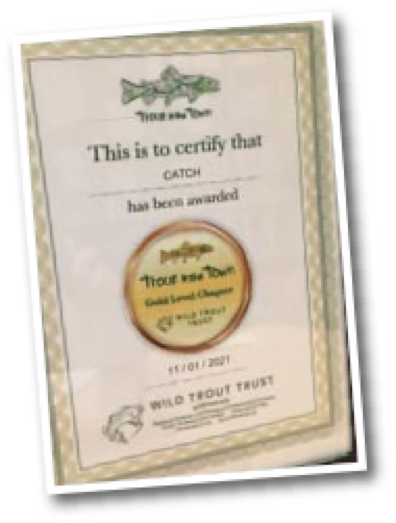 Wild Trout Trust certificate